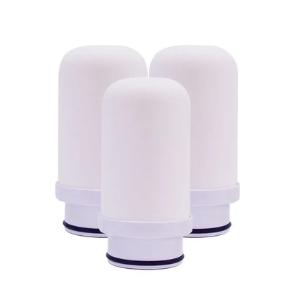 Wheelton Stainless Steel Kitchen Tap Purifier Faucet Water Filter